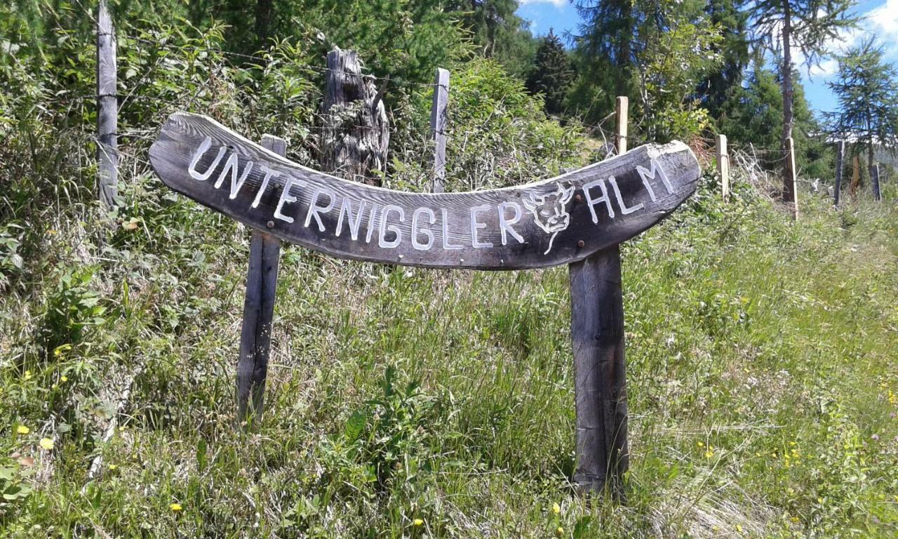 ThurnUnterniggleralm公寓 外观 照片