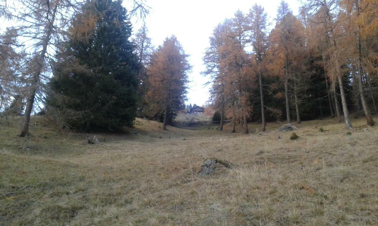 ThurnUnterniggleralm公寓 外观 照片